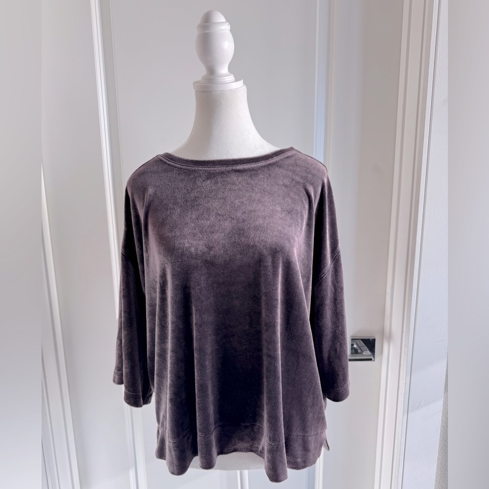 Free People We The Free Valerie Velour Scoop Back Velvet Tee Purple Size Small